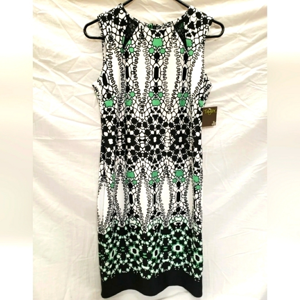 NWT Taylor Sleeveless Knee Length Multicolored Dress Sz 2